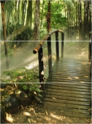 C-NT2H022D Nature Dao 2 панно (компл из 3-х шт) 80x60