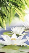 NT2H021D Nature Lotus 1 панно (компл из 4-х шт) 44x80
