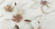 Calacatta Decor 2 60х31.6